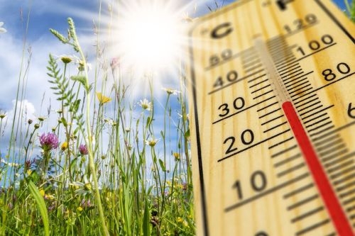 Высокая пожарная опасность