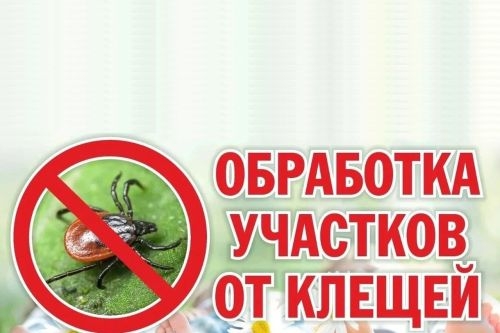 На общественных территориях городского округа запланировано проведение мероприятий по акарицидной обработке