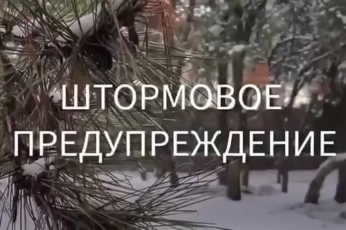 Крымским гидрометеоцентром объявлено штормовое предупреждение